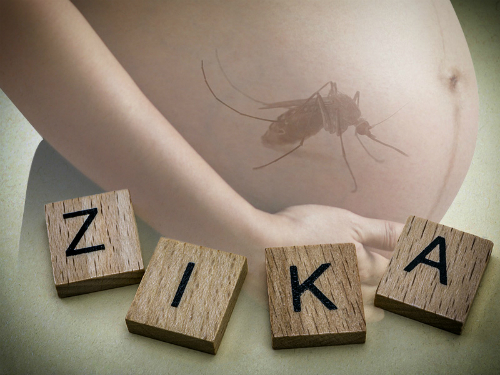 Phòng ngừa virus Zika