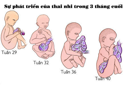 3-thang-cuoi-thai-ky-me-phai-lam-gi.jpg