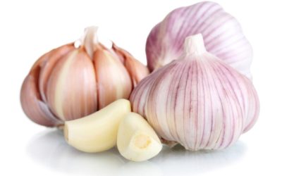 10 loại thuốc kháng sinh tự nhiên dễ tìm, hiệu quả nhất