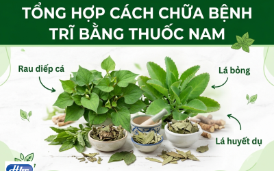 10 cách chữa bệnh trĩ bằng thuốc nam hiệu quả tại nhà