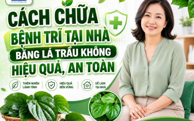 3 cách chữa bệnh trĩ tại nhà bằng lá trầu không hiệu quả, an toàn