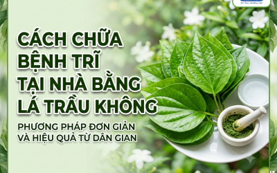 3 cách chữa bệnh trĩ tại nhà bằng lá trầu không hiệu quả, an toàn