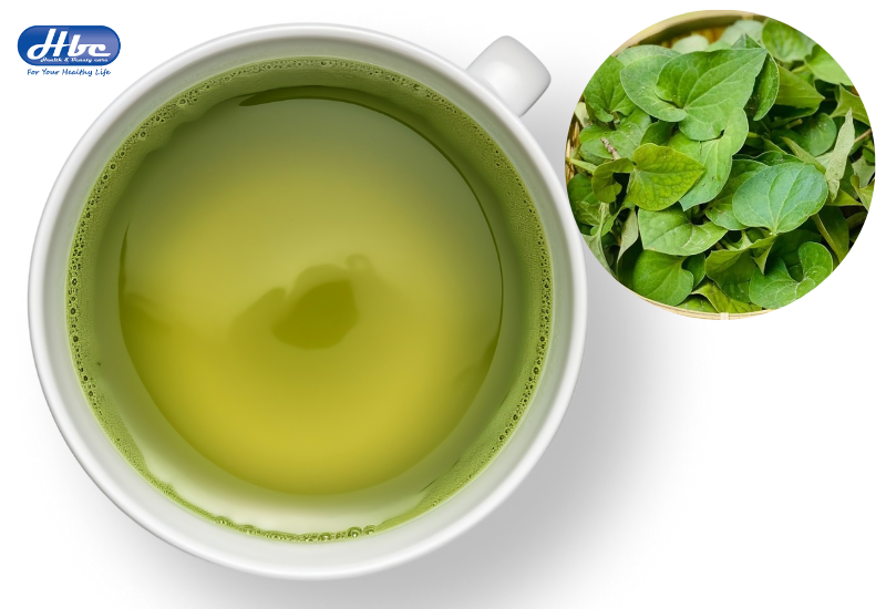cách trị bệnh trĩ tại nhà bằng rau diếp cá