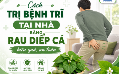 6 cách trị bệnh trĩ tại nhà bằng rau diếp cá​ hiệu quả, an toàn