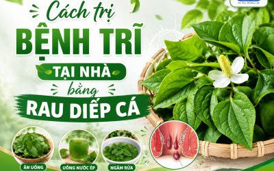 6 cách trị bệnh trĩ tại nhà bằng rau diếp cá hiệu quả, an toàn